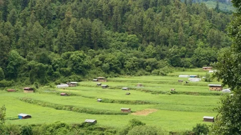 View of green valley located in Bhutan. Stock Footage 249714586