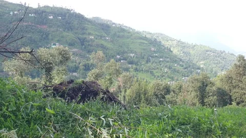 View of a green village Stock Footage 247170050
