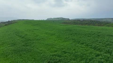View of green wheat field from drone Stock Footage 270422477