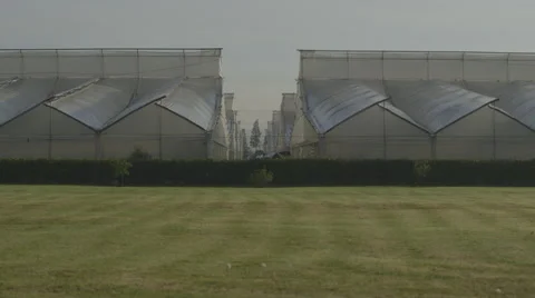 View of greenhouse Stock Footage 50177759