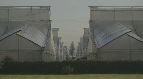 View of greenhouse Stock Footage 50177782