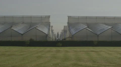 View of greenhouse Video stock 50178163
