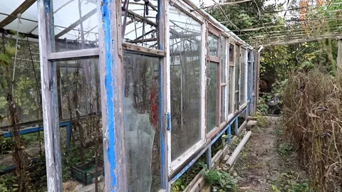 View of the greenhouse made of old window frames and improvised materials Stock Footage 144102510