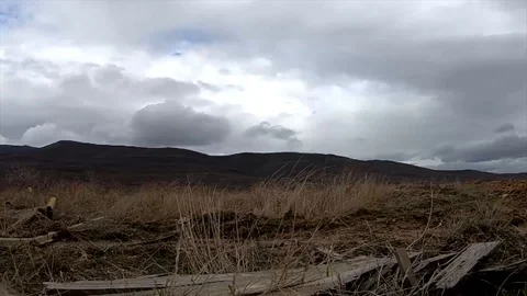 View of grenades exploding in open field during military training Vídeos de archivo 88143913