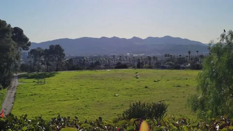 View of the Griffith Park Mountains from Glendale Stock Footage 235362076