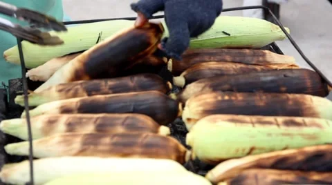 View of a grilled Corns.  Stock Footage 63214265