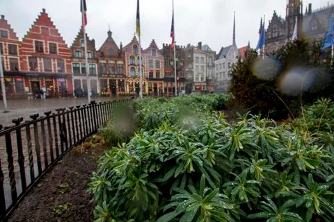 View on Grote Markt square Stock Photos