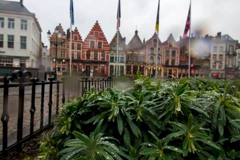 View on Grote Markt square Stock Photos