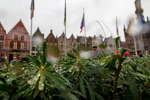 View on Grote Markt square Stock Photos