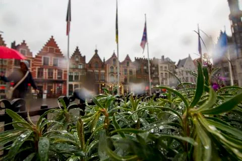 View on Grote Markt square Stock Photos