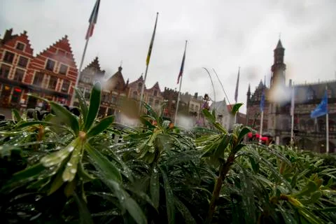 View on Grote Markt square Stock Photos
