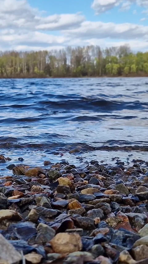 View from ground level to the riverbank Video stock 346843510