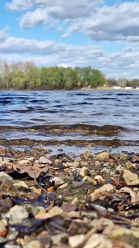 View from ground level to the riverbank Stock-Footage 346843514