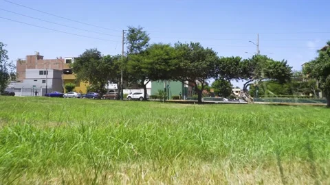 View from the ground walking through a park in the foliage Video stock 149916712