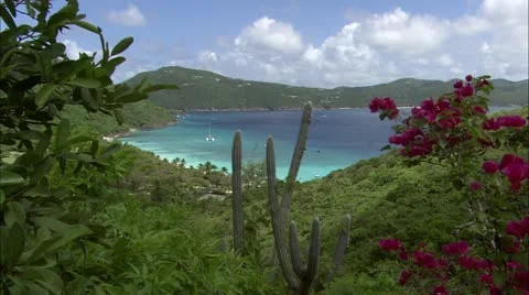 View of Guana Landscape Stock Footage 22665190