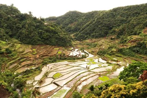 View from the Guihob View Point over rice terraces, fields, paddies, close to Foto stock