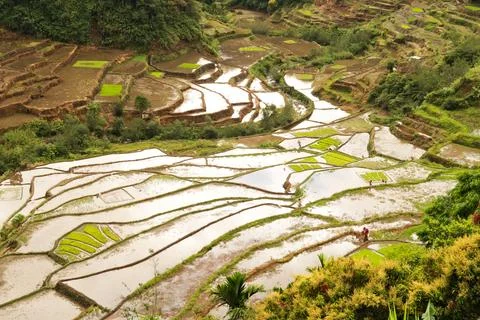 View from the Guihob View Point over water filled rice terraces, fields, pa.. Foto stock