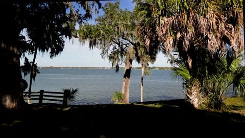 View of the Gulf Water through Palm Trees on Shoreline Stock Footage 169975606