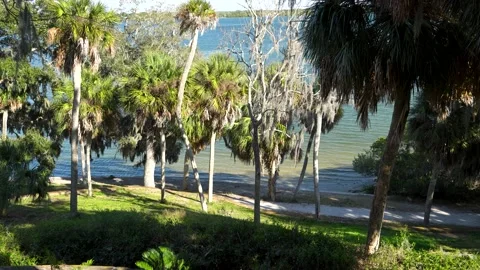 View of the Gulf Water through Palm Trees on Shoreline Stockbeeldmateriaal 170239957