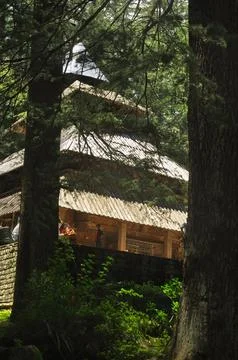 View of Hadimba Devi Temple from among cedar trees  Stock Photos