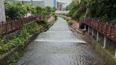 View of Haeundae-gu stream with wooden walkways in South Korea. Video stock 343683471