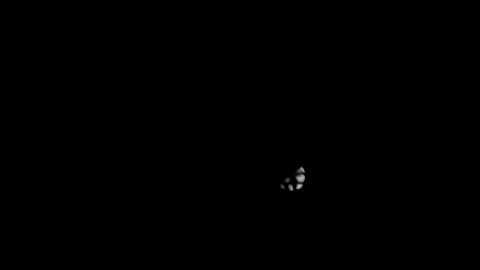 View of the half moon phase in the dark night sky Stock Footage 340232959
