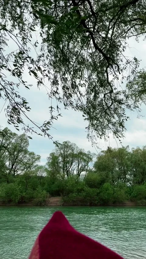 View from the hammock of blue water river Stock Footage 242476922