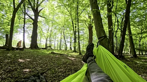 View from a hammock in the woods showing legs and vibrant green leaves abov.. Stock Footage 309185804