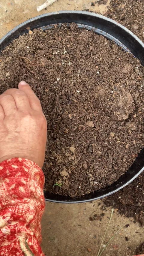 View of Hand Mixing Organic Potting Soil and Compost Fertilizer Stock Footage 346008975
