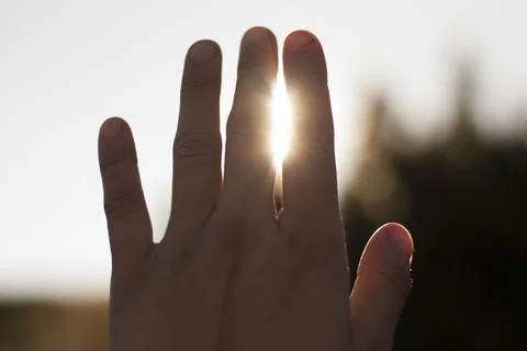 View on a hand in sunlight Stock Photos