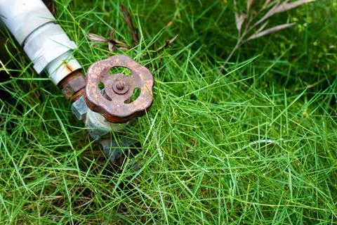 View of a handle of gate value to control the flow of liquid in a garden Stock Photos