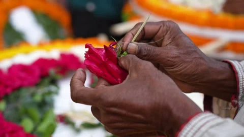 View of hands arranging red roses into a floral pattern, Bangladesh. Vídeo Stock 335651262