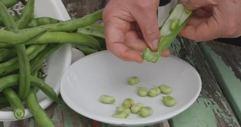 View of hands peeling fresh broad beans from their pods and placing them in a Stock-Footage 152771624