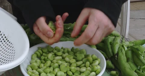 View of hands peeling fresh broad beans from their pods and placing them in a Vídeo Stock 153905700