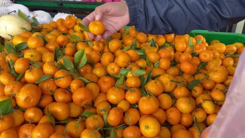 View of hands selecting oranges to buy at the market Video stock 324694359