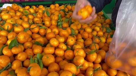 View of hands selecting oranges to buy at the market Stock Footage 324694360