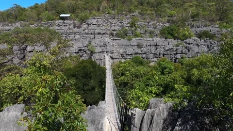 View of hanging bridge on the Tsingy plateau of Ankarana National Park Video stock 312707053