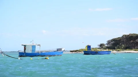 View by the harbor Stock-Footage 303012709