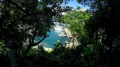 View of the harbor in the trees Stock Footage 83006341