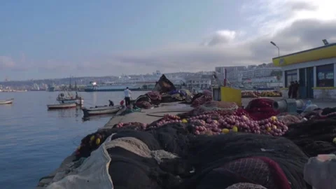 View From Harbour Of Algiers City Stock Footage 135765994
