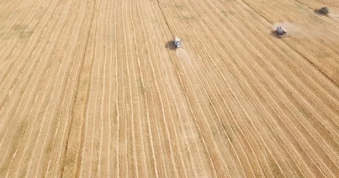 View of the harvesters that mow the field down Stock Footage 112883390