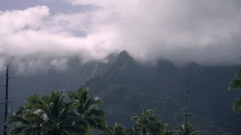 View of Hawaiian mountain touching clouds palm trees in forground Stock Footage 312767220