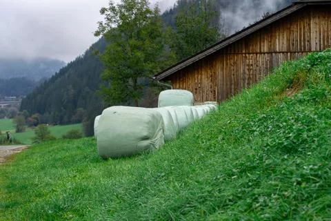 View of haystacks packed in polyethylene, hay harvesting for the winter Stock Photos