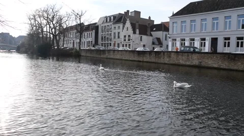 View into hazy sunshine down a canal with 2 swans in Bruges, Belgium. With sound Stock Footage 45253381