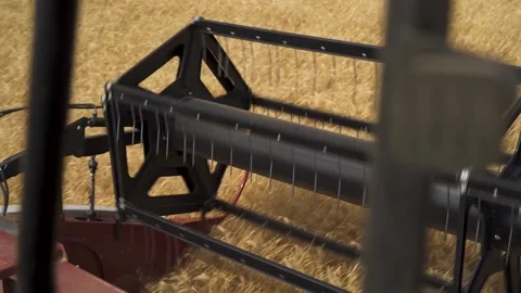 View of the Head of a combine harvester standing on the Combine Stock Footage 220600942