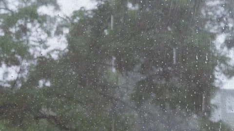 View of heavy rain from window of house through mosquito net. Stock Footage 279149377