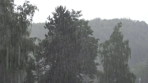 View of heavy rainfall big drops at mountain tree dangerous rain storm hurricane Stock Footage 81965303