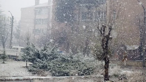 View of heavy snowfall during daytime through the window Stock Footage 122202780
