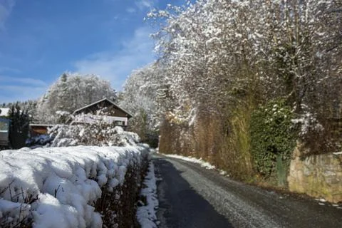 View of a hedge in white snow on a cloudy winter day. Shallow Depth of Field. 스톡 사진
