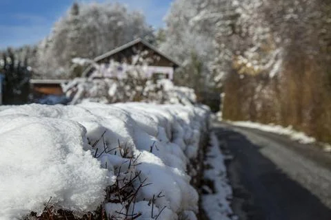 View of a hedge in white snow on a cloudy winter day. Shallow Depth of Field. 스톡 사진